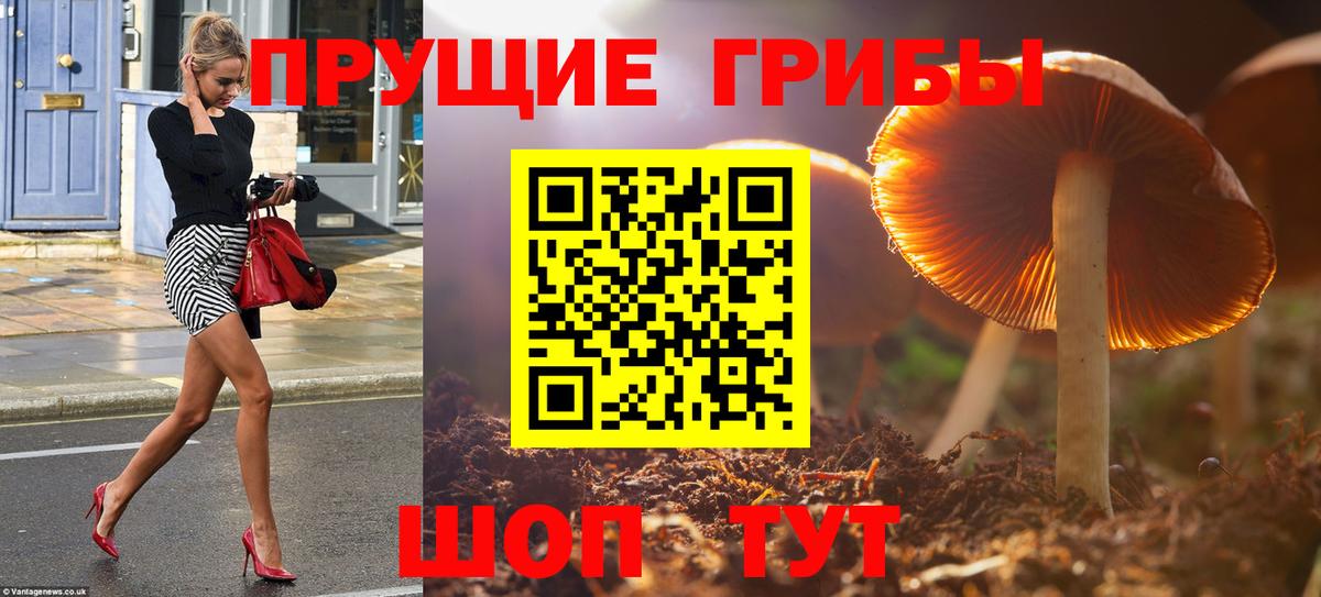 купить наркоту  Вход с VPN  Еманжелинск  Галлюциногенные грибы прущие грибы 